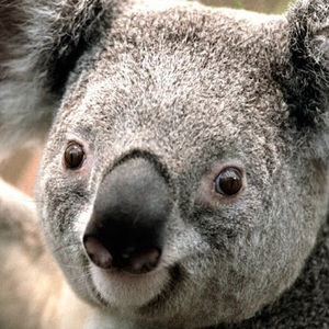 Meet your Posher, Mandy